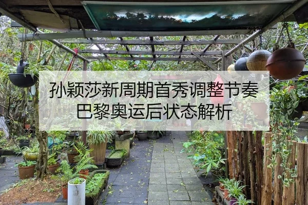 孙颖莎新周期首秀调整节奏 巴黎奥运后状态解析