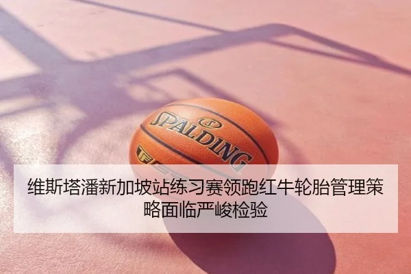 维斯塔潘新加坡站练习赛领跑红牛轮胎管理策略面临严峻检验