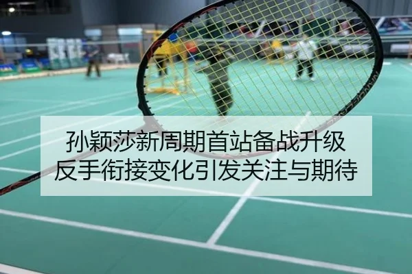 孙颖莎新周期首站备战升级 反手衔接变化引发关注与期待