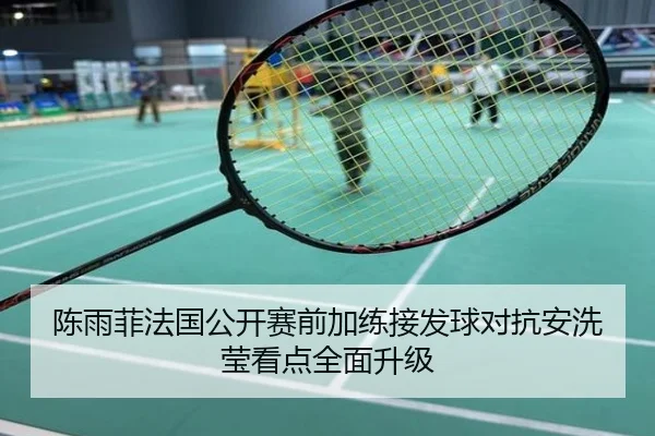 陈雨菲法国公开赛前加练接发球对抗安洗莹看点全面升级